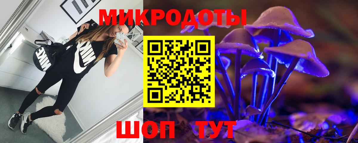 Псилоцибиновые грибы GOLDEN TEACHER  где купить наркотик  Серпухов  Вход с VPN 